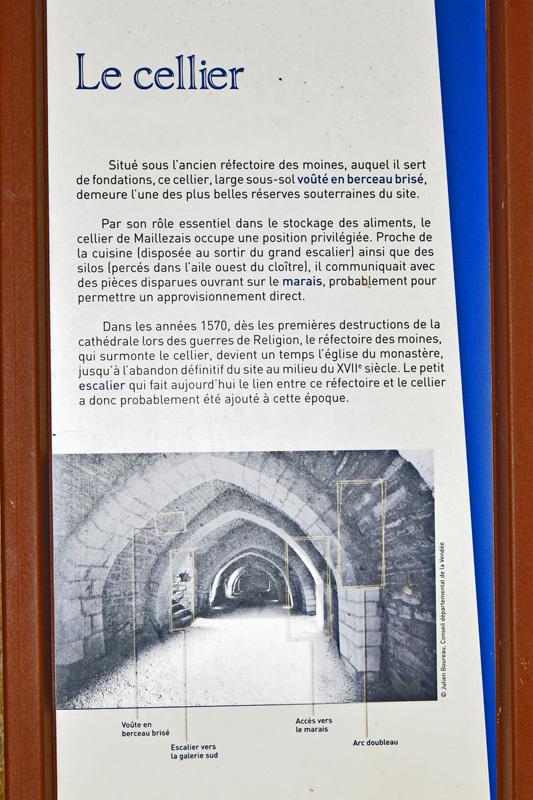 min 2025 06 08 Marais Poitevin 175